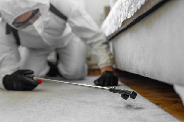 Professional Bed Bug Control technician working in Stottville, NY